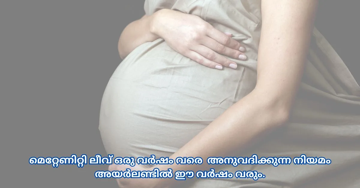 1 Year Maternity leave