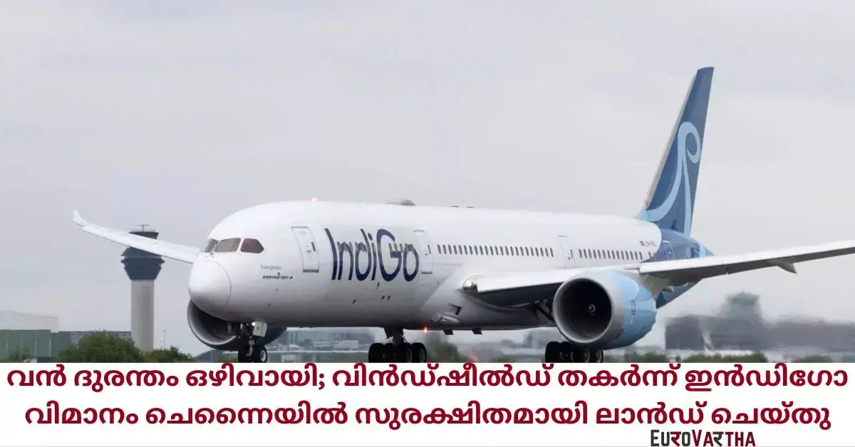 indigo flight windshield (2)