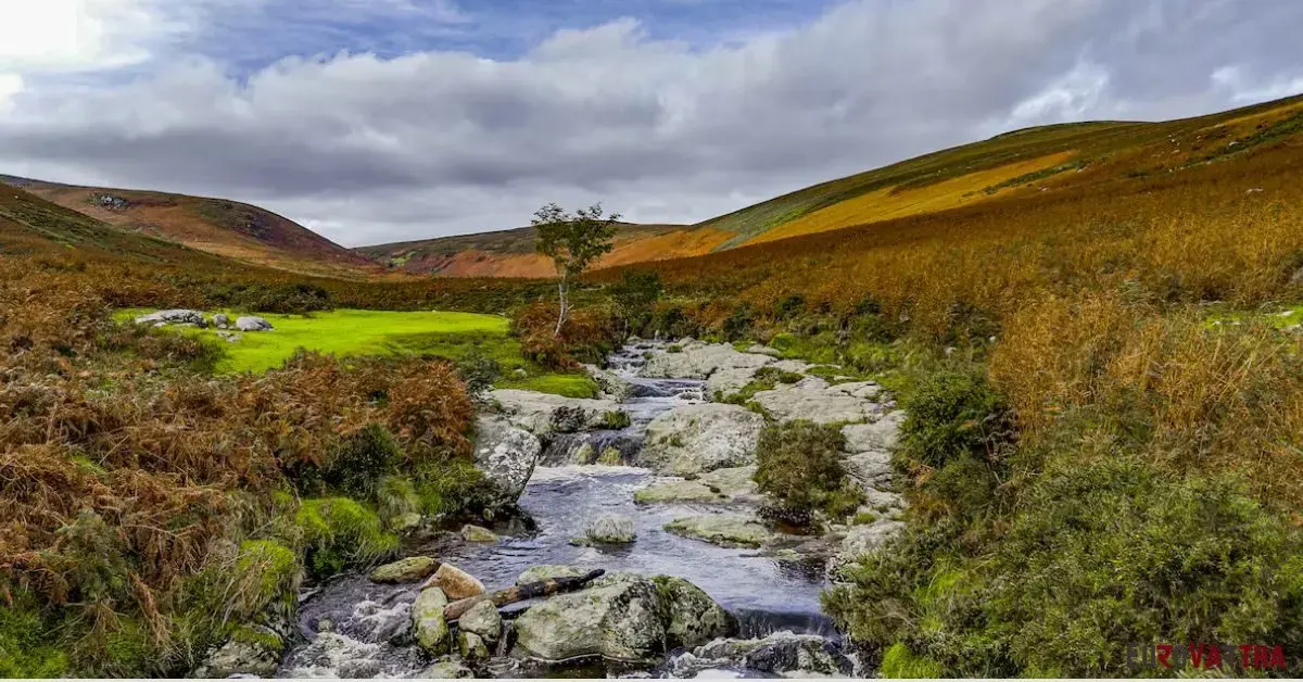 90% of ireland's key habitats in poor condition, major report finds...